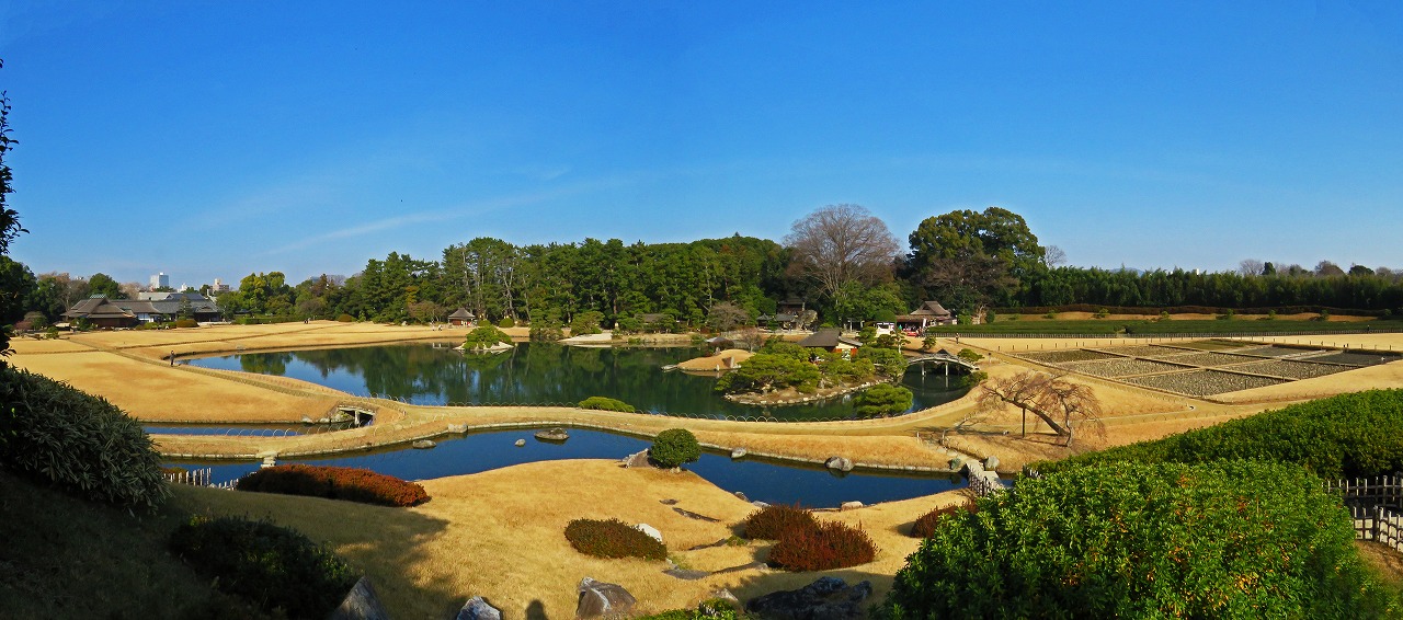 s-20150105 後楽園今日の穏やかな園内沢の池ワイド風景 (1)
