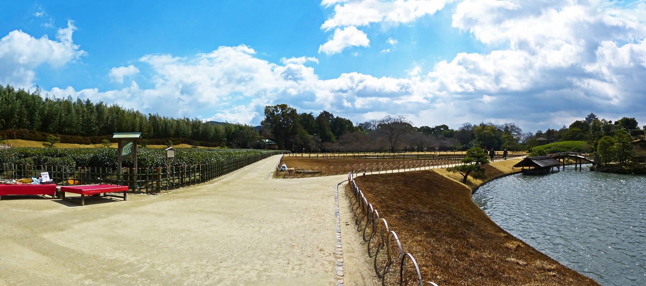 s-20150311 後楽園茶畑の四ツ目垣修復完成間近のワイド風景 (1)