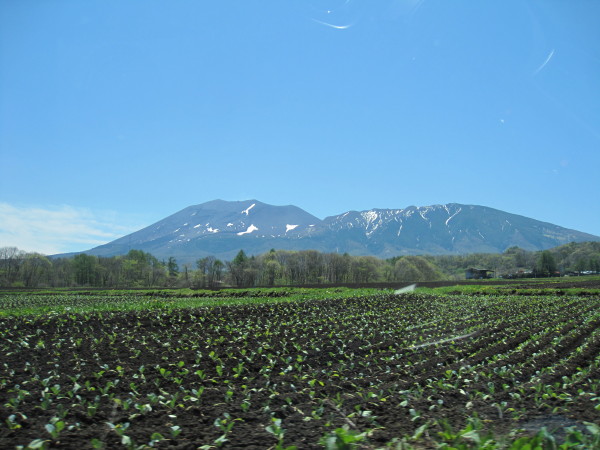 浅間山とキャベツ畑