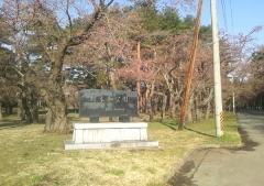 桜歩き4-19 (1)_600
