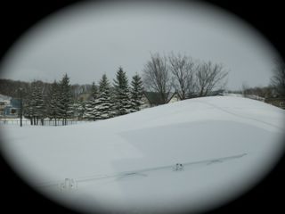 雪景色１月8日