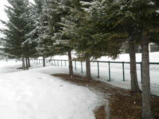 ３月の雪　公園