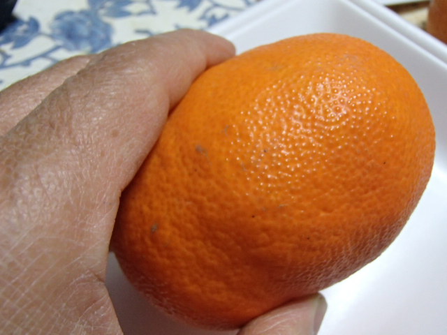 柑橘大好き (2)