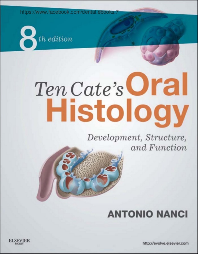 ten-cates-oral-histology-development-structure-and-function-1-638.jpg