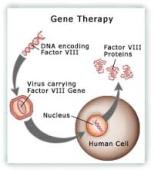 gene therapy