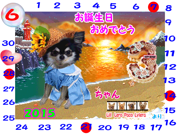 2015-06-29みくちゃん（3歳）誕生日
