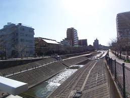 2015年　3月お教室の前の川
