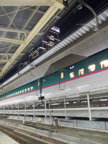 東京駅 10番線ホームからの東北新幹線