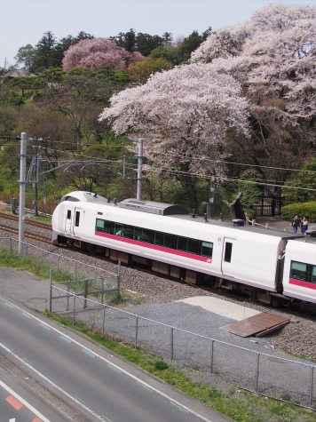JR 常磐線 E657系 特急ひたち