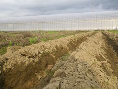 [写真]深く掘り返された三郎畑の様子