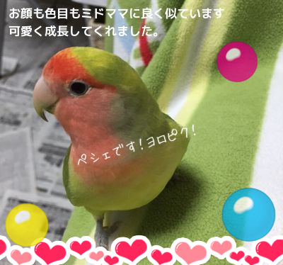 201502251304076bf.png